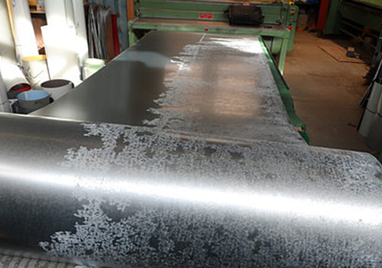 White rust Karu Katus